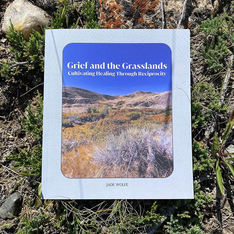 Grief and the Grasslands Book